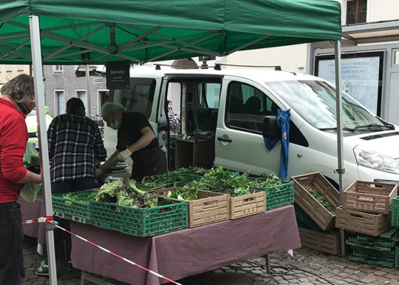 Bauernmärkte – Das Beste vom Feld